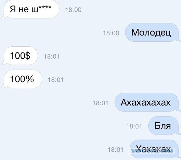 Смешные комменты из соцсетей