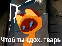 "Град" от донских казаков