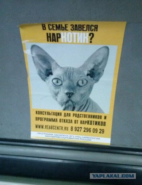Прикольные объявления и надписи