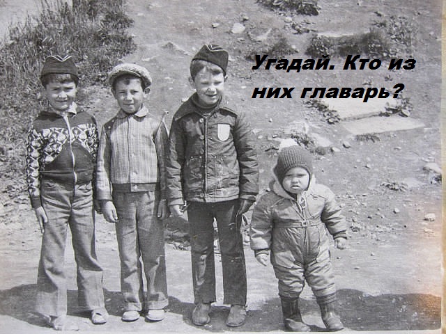 Веселые картинки