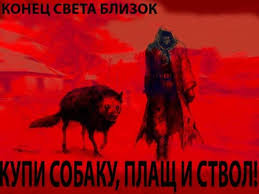 10 причин завести собаку