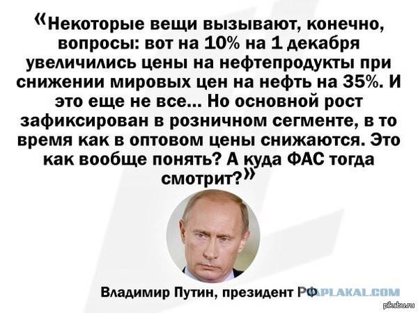 Путина попросят перекрыть в России торренты