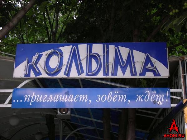ВЫВЕСКИ, ТАБЛИЧКИ. Смешные и прикольные