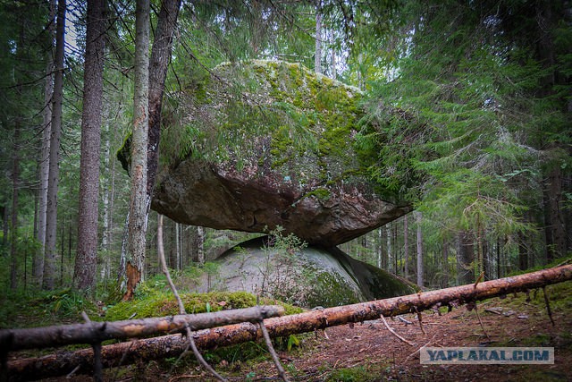 Нечеловеческая красота