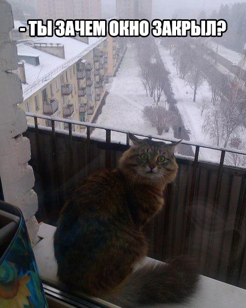 Картинки разные