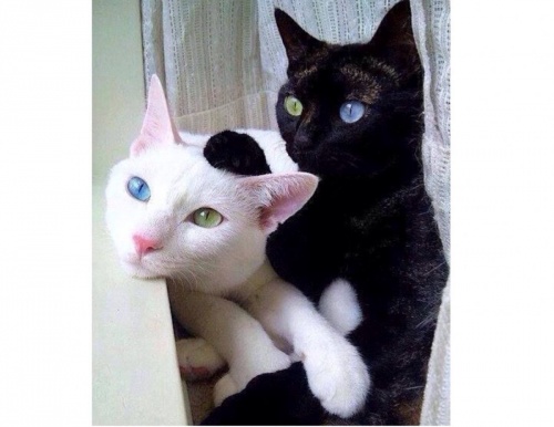 Бывают в жизни совпадения