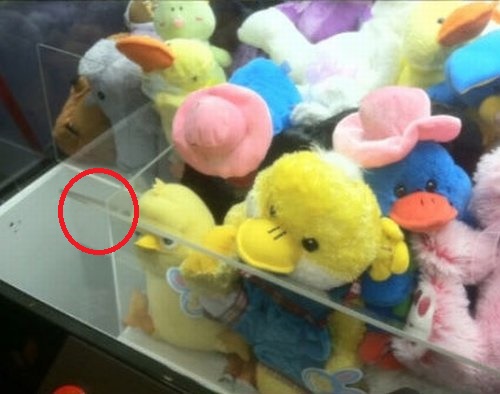 Везде обман!