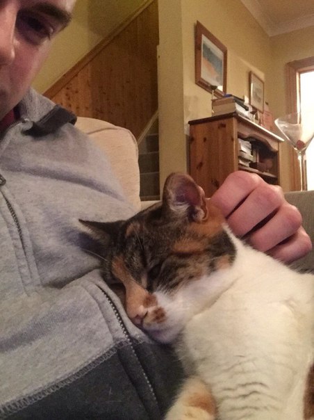 Веселые картинки