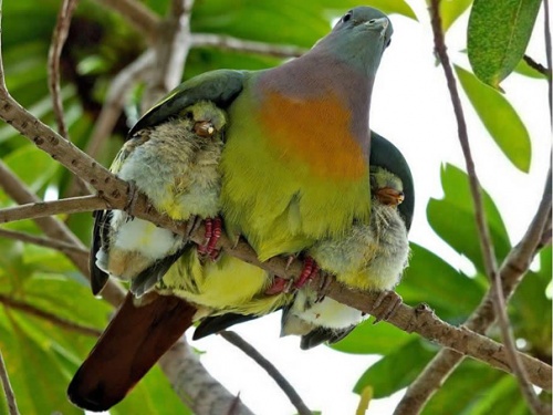 Картиночки из этих...ваших.....