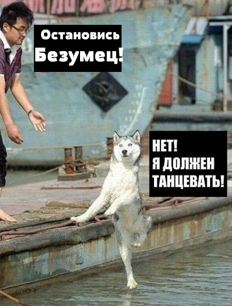 Абсурдный юмор ч.12