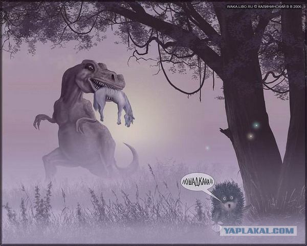 Картинки из сети