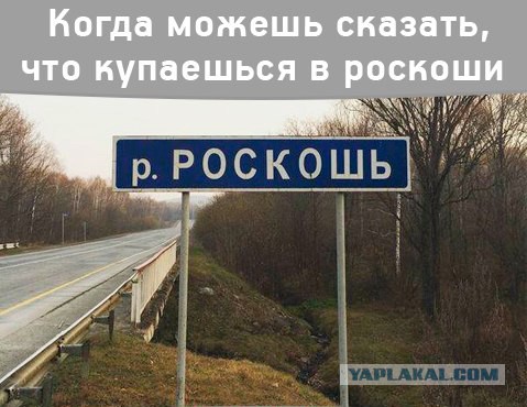 Картинки из сети