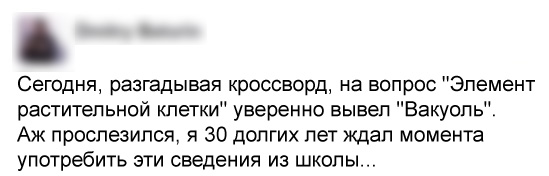 Смешные комментарии 24.04.2016