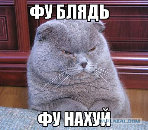 Ну, вы поняли...