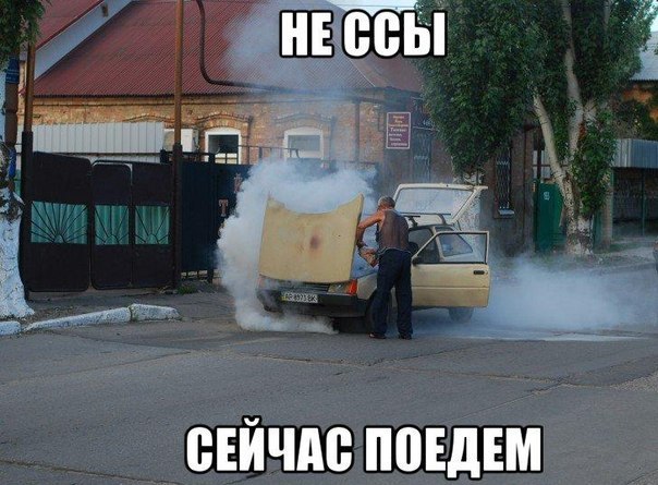 Весёлые картинки для настроения