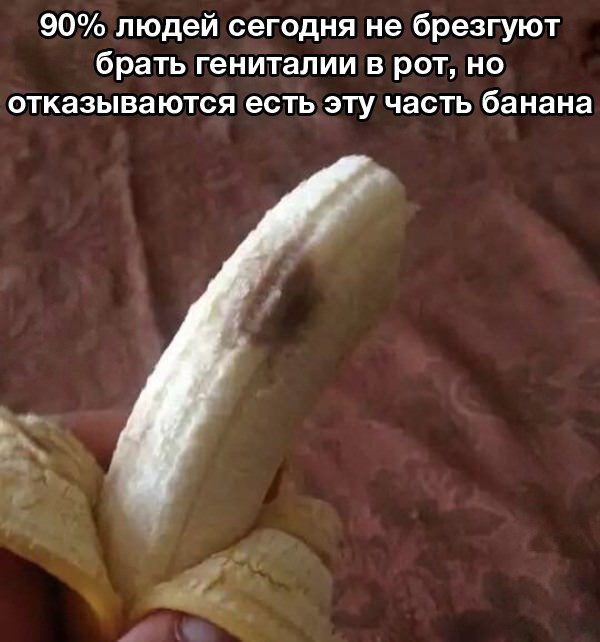 Абсурдный юмор ч.26
