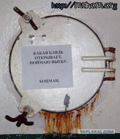 Подборка частицы смеха...