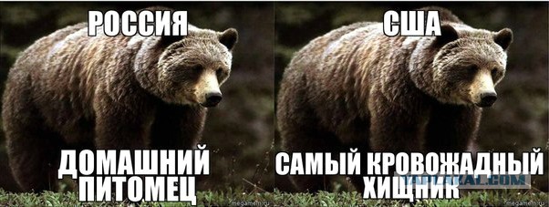 Pokemon GO Русская версия (18+ мат)