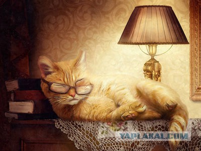 CNN: Россия нанесла первый авиаудар в Сирии