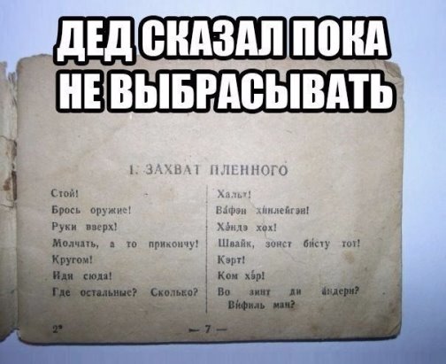 Порция картинок