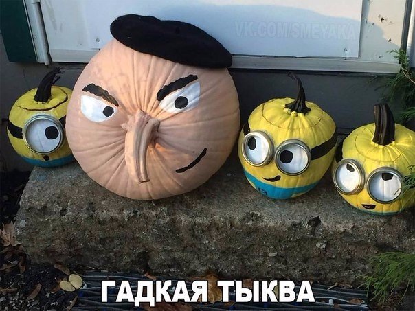 Весёлые картинки 30.11.2016
