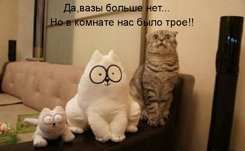 Картинки из ваших интернетов