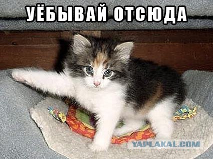 В Британии назвали условия приема России в «семью цивилизованных стран»