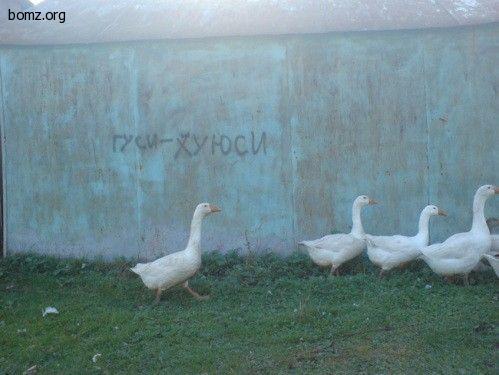 Философские надписи на стенах