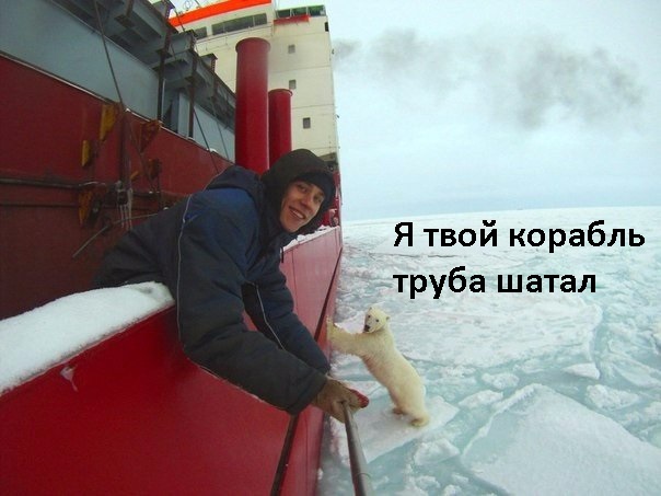 Картинки с анекдотами