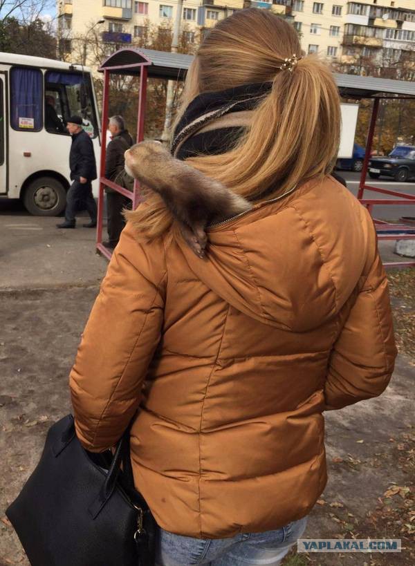 Подборка фотографий