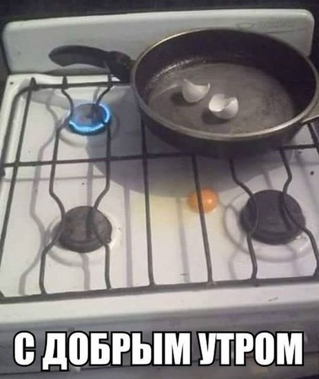 21 снимок, в которых вся ирония фразы «Доброе утро!»
