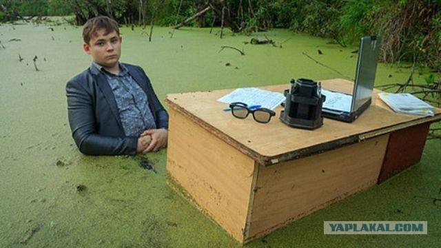 Зацементированная голова, селфи над пропастью и другие самые безумные поступки, сделанные ради лайков