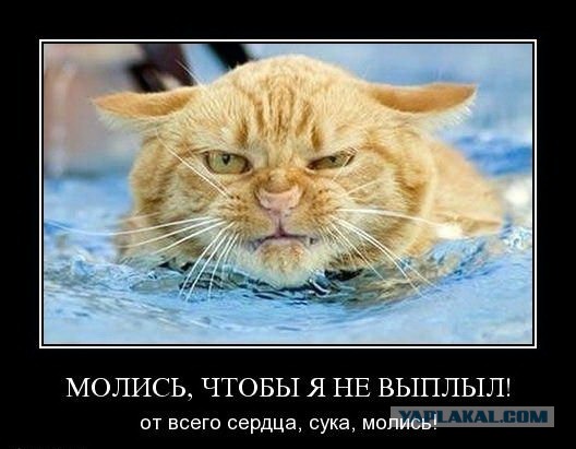 Когда киски не хотят быть мокрыми