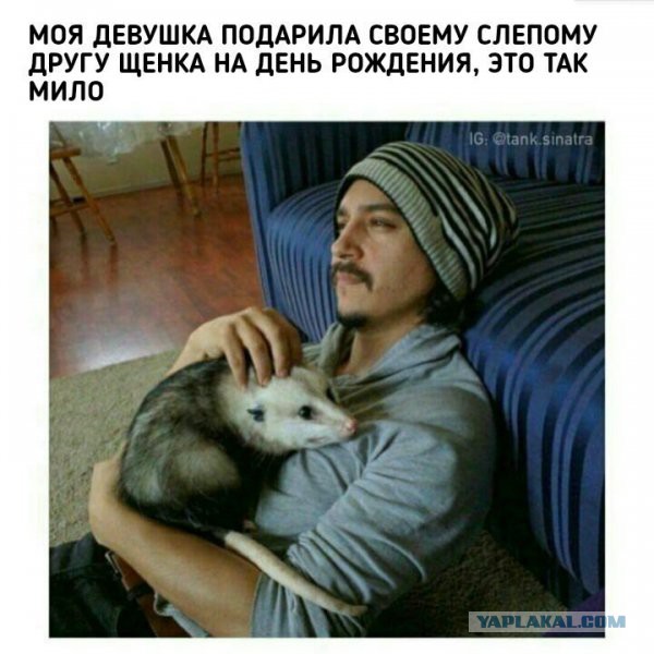 Нестандартный юмор
