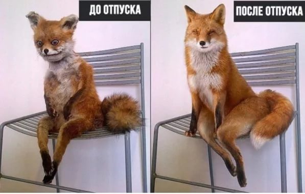 Тятя! Тятя! Наши сети принесли неадекват!