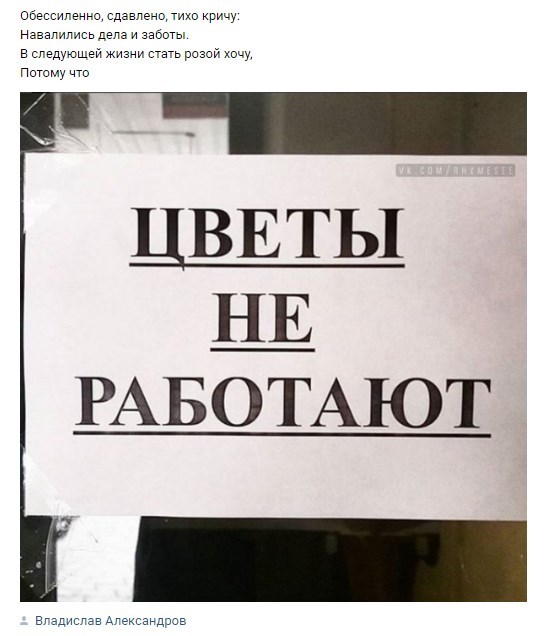 Картинки по-приколу