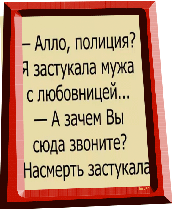 "Рву когти" из Москвы во Владивосток с двумя котами
