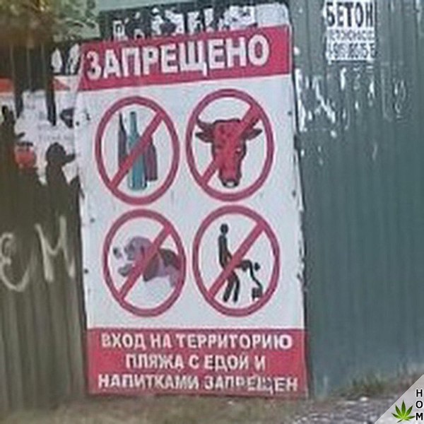 Прикольные надписи и объявления