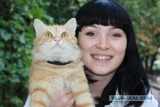 Кошарий