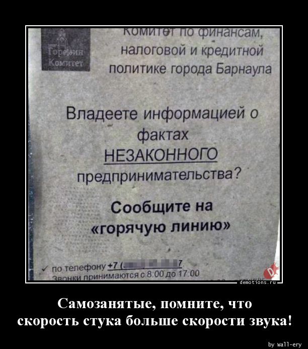 Сдай соседа: власти развешивают листовки с просьбой сообщать о самозанятых людях