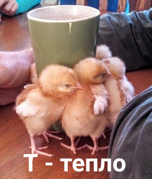 Фотоинтересности