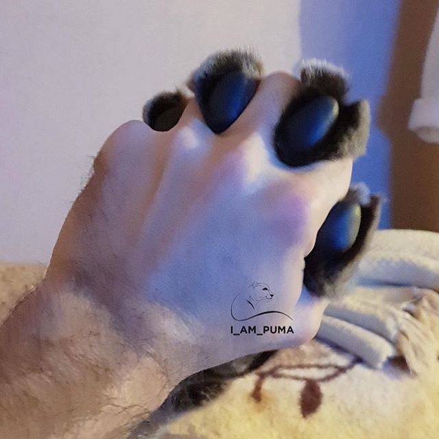 16 ритуалов, которые совершает каждый котовладелец