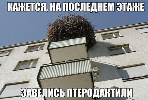 Картинки разные 4.12.19.