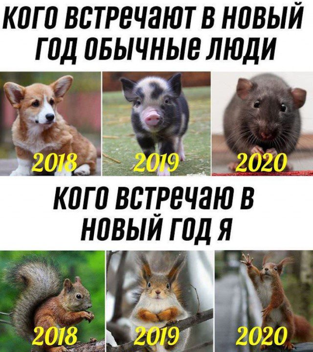 Картинки с надписями, истории и анекдоты 31.12.19