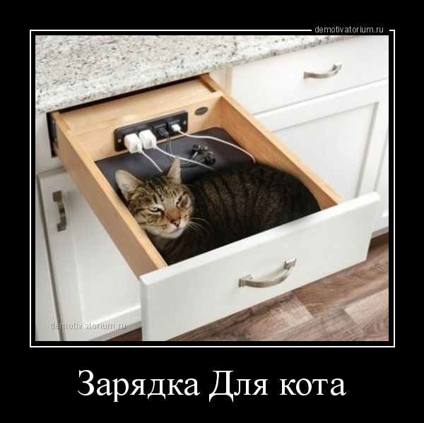 Пара-пара-пам! Фьють. Картинки с надписями. И без