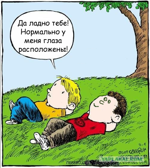 Смотрим на облака вместе