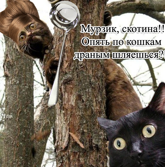 Фотожаба: Знатный Зверюга