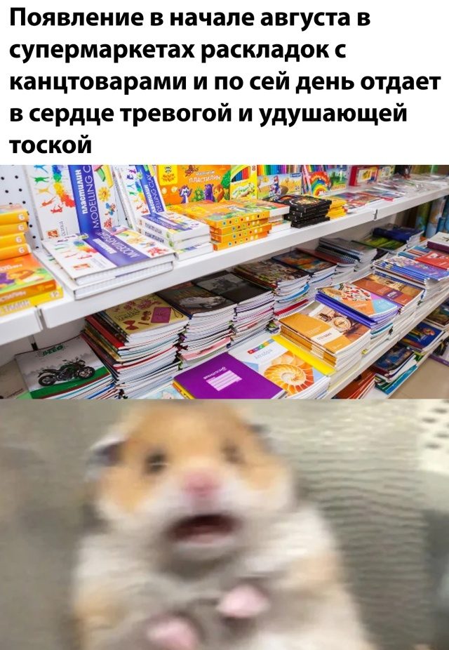Немного картинок для настроения 03.09.20