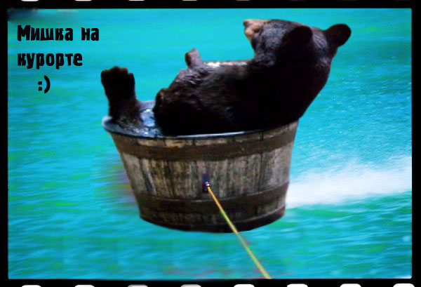 Фотожаба: Кто пил из бочки и все выпил?