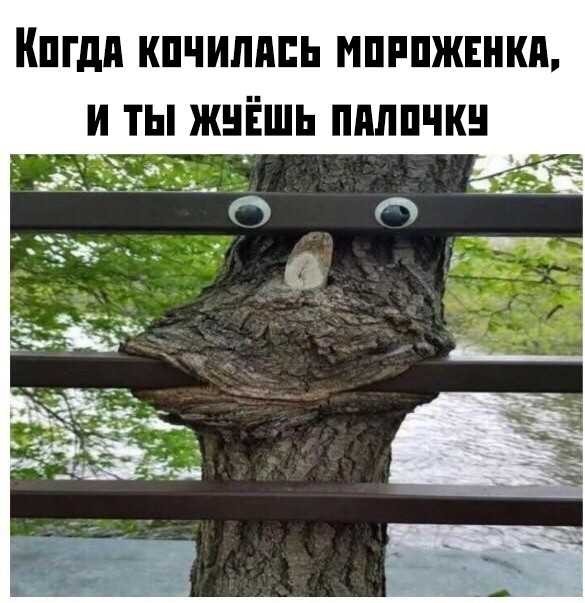 Боянистые картинки 07.12.20